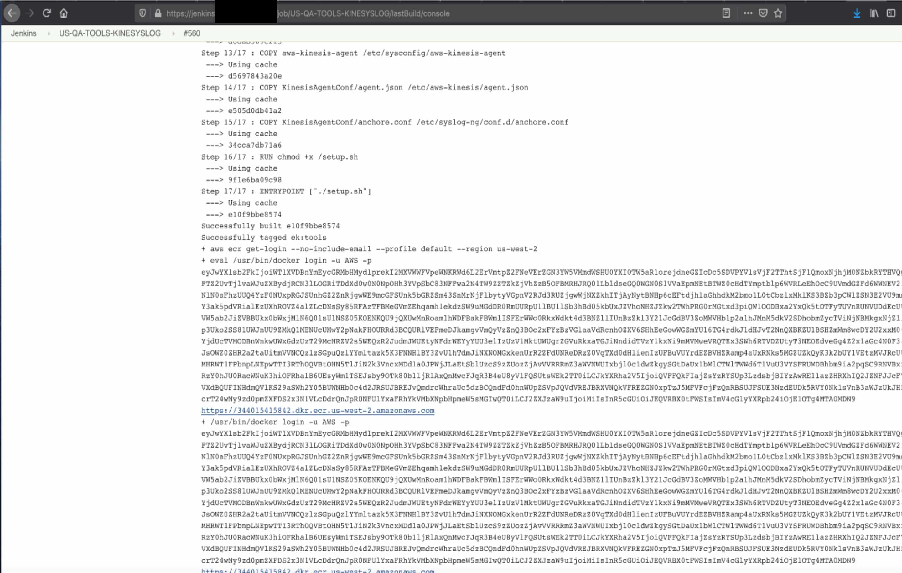 Console Output from Docker