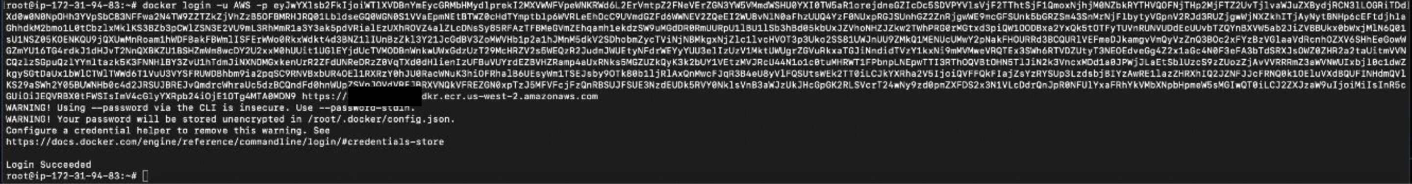 Console Output from Docker