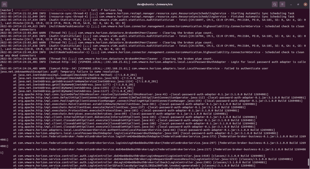 CVE-2022-22972: VMware Auth Bypass Analysis | Horizon3