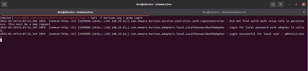CVE-2022-22972: VMware Auth Bypass Analysis | Horizon3
