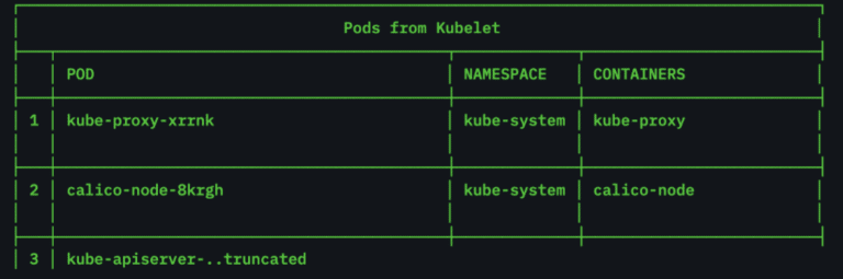 Pods retrieved using the /pods API endpoint.