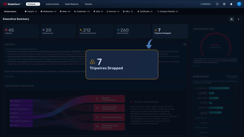 NodeZero Tripwires UI