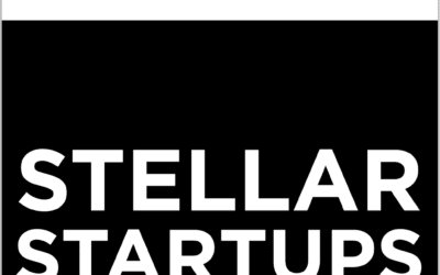 The Channel Co. Stellar Startups 2024