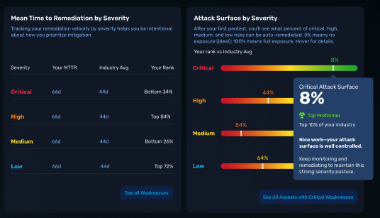 Example of NodeZero Insights™ Peer Comparison