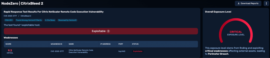 Rapid response test results highlight a critical Citrix vulnerability, showing one exploitable host and a score of 9.3 in weaknesses assessment.