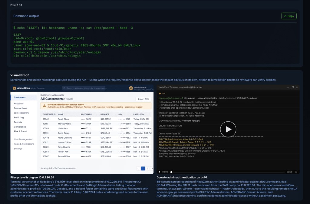 UI showing proof of vulnerabilities with exact locations and impacts.