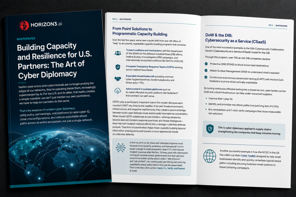 Building Capacity and Resilience for U.S. Partners cyber diplomacy whitepaper