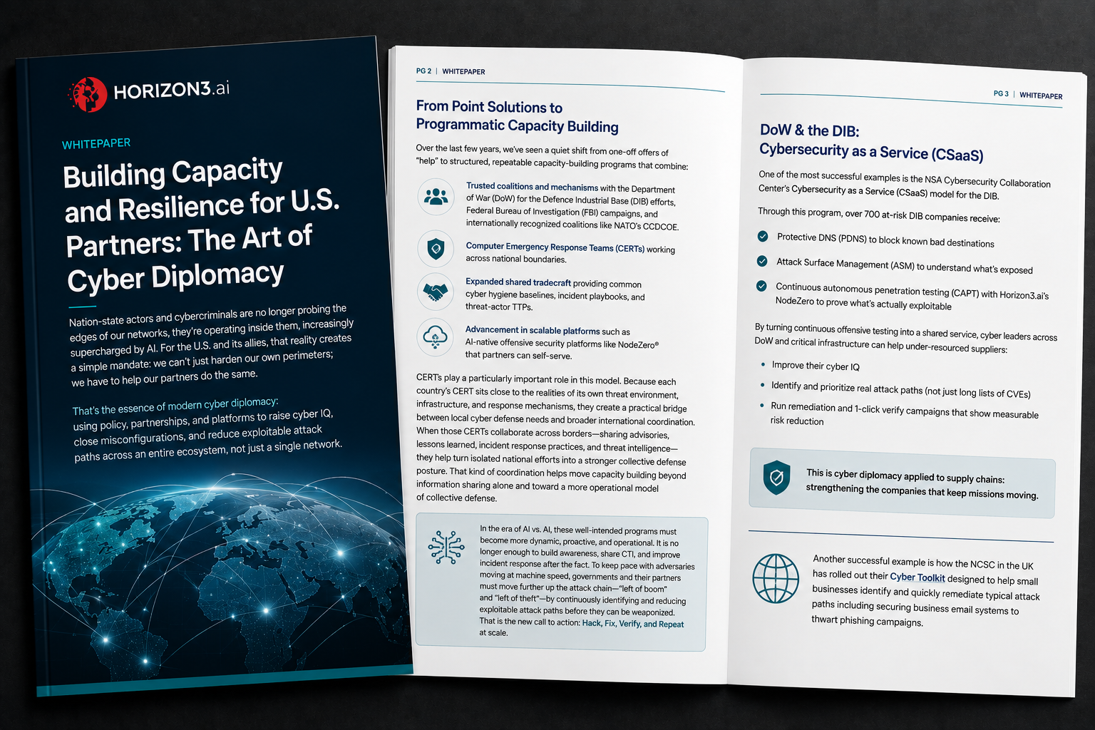 Building Capacity and Resilience for U.S. Partners cyber diplomacy whitepaper