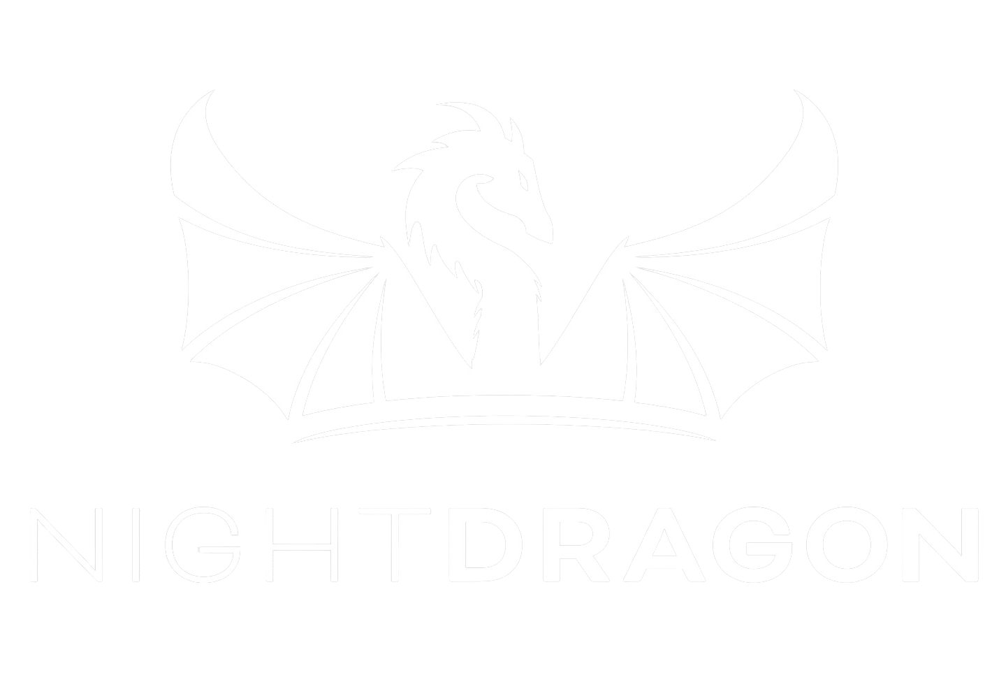 Night Dragon logo